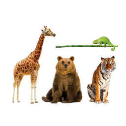 Clementoni Animali da Record – Gioco di Carte Educativo sugli Animali