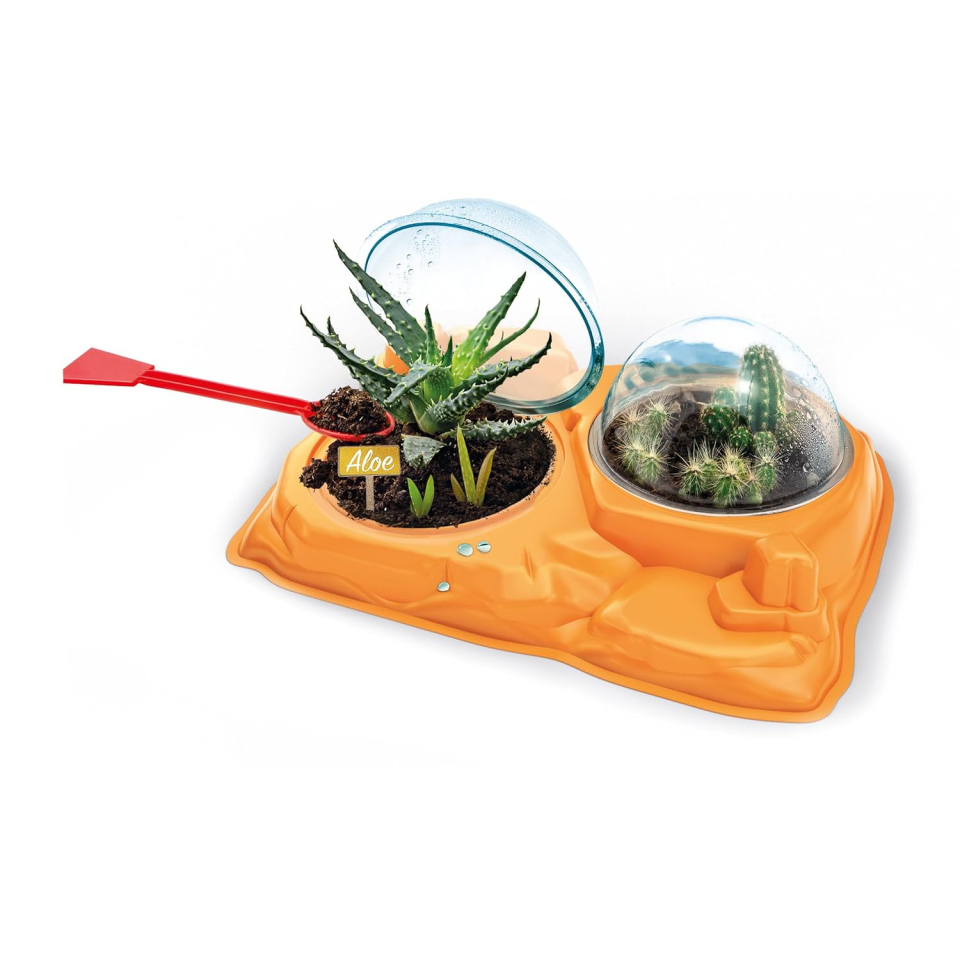 Clementoni Scienza e Gioco Lab – Botanica Piante Grasse
