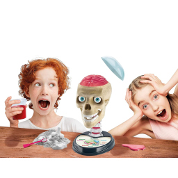 Clementoni Scienza Lab Fuori di Testa – Laboratorio Anatomia del Cranio