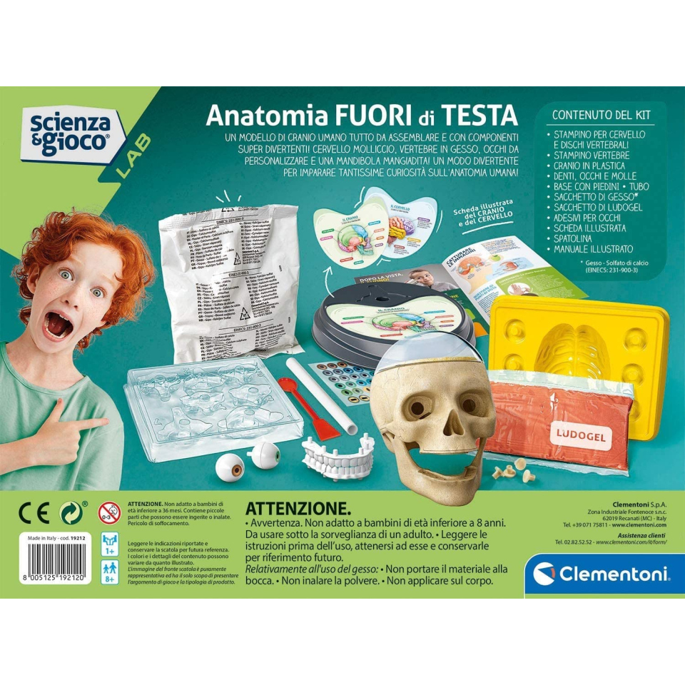 Clementoni Scienza Lab Fuori di Testa – Laboratorio Anatomia del Cranio