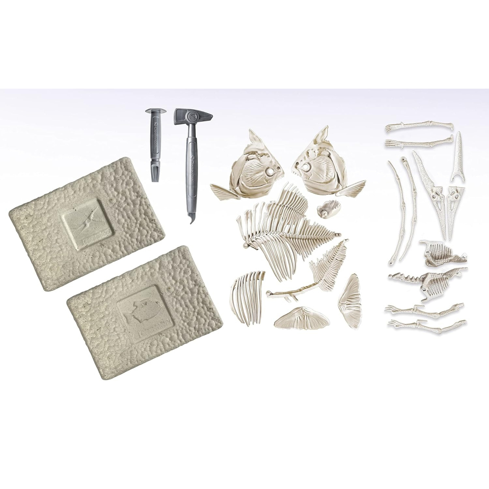Clementoni Glowing Beasts – Kit Scavo Dinosauri Fosforescenti