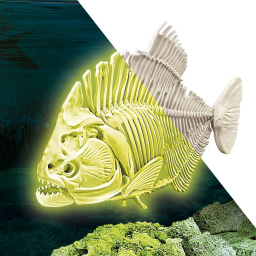 Clementoni Glowing Beasts – Kit Scavo Dinosauri Fosforescenti