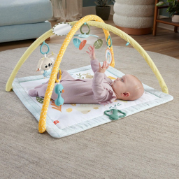 Fisher-Price palestrina multisensoriale neonato con 6 giochi