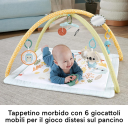 Fisher-Price palestrina multisensoriale neonato con 6 giochi