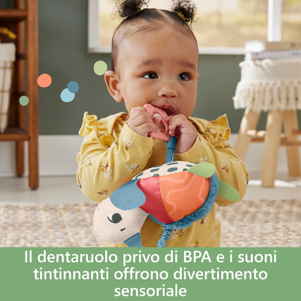 Fisher-Price Amici del Pianeta Tartarughina da passeggino con dentaruolo