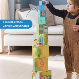HABA Cubi Impilabili Mein Zuhause – Set 10 Pezzi dai 12 Mesi