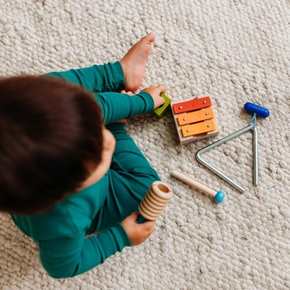 HABA Gioia Sonora – Set Strumenti Musicali in Legno per Bambini