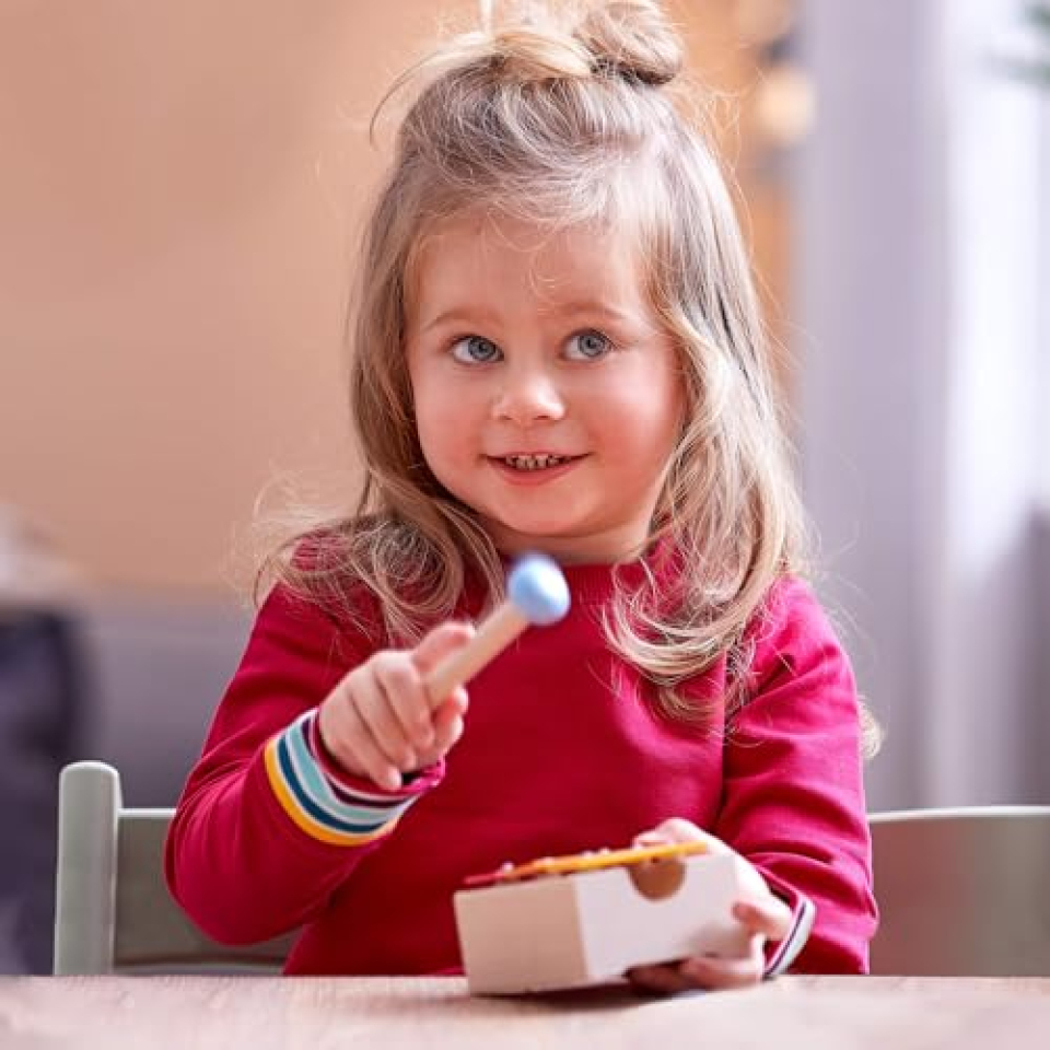 HABA Gioia Sonora – Set Strumenti Musicali in Legno per Bambini