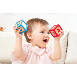 Hape Blocchi Impilabili in Legno – Set 10 Pezzi con Bordi in Silicone