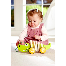 Hape Coccodrillo Trainabile in Legno per Primi Passi