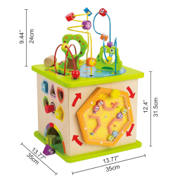Hape Cubo Multiattività in Legno 5 Lati per Bambini