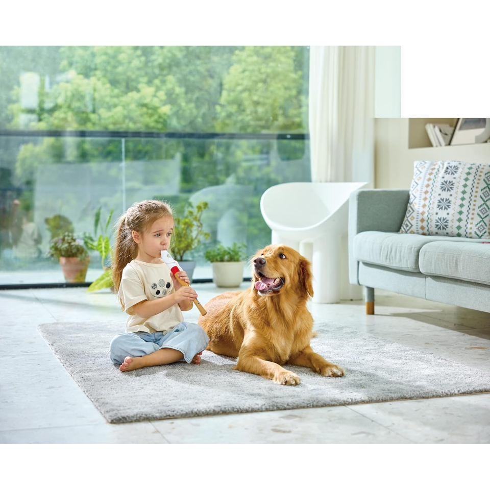 Hape Flauto Dolce in Legno per Bambini