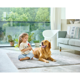 Hape Flauto Dolce in Legno per Bambini
