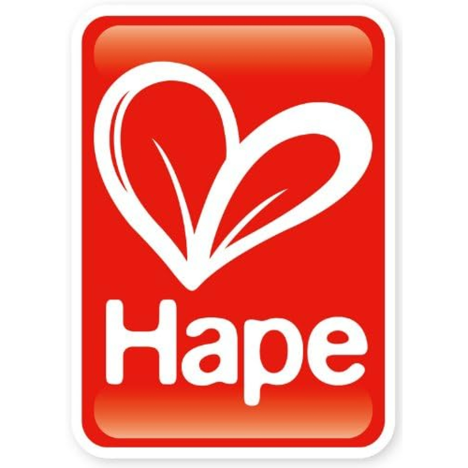 Hape Minivan Rosso in Legno per Bambini