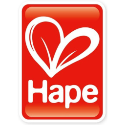 Hape Minivan Rosso in Legno per Bambini