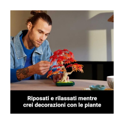 LEGO Botanicals Bonsai Acero Rosso Giapponese 10348