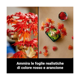 LEGO Botanicals Bonsai Acero Rosso Giapponese 10348