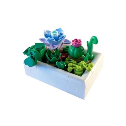 LEGO Botanicals Tiny Desert Garden – Libro Costruzioni