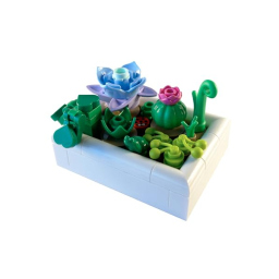 LEGO Botanicals Tiny Desert Garden – Libro Costruzioni