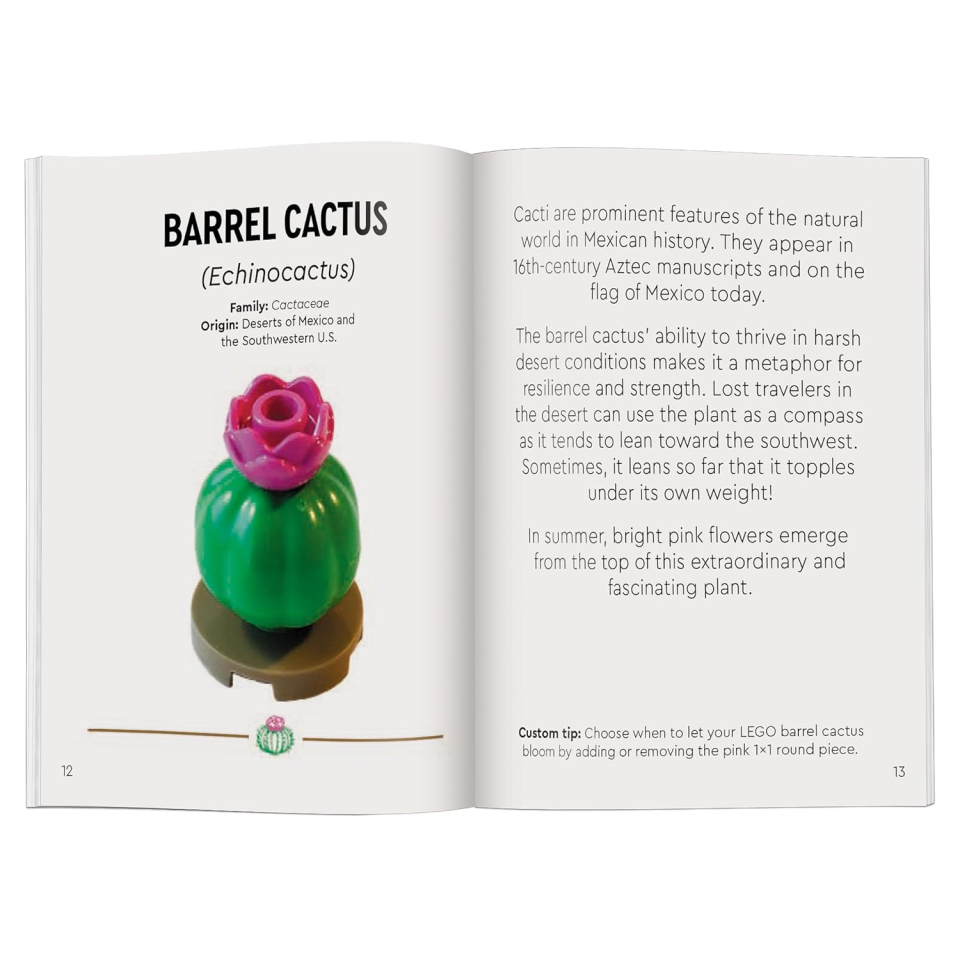 LEGO Botanicals Tiny Desert Garden – Libro Costruzioni
