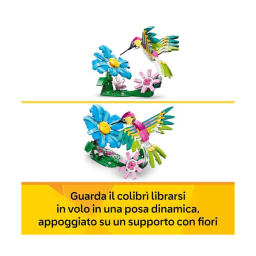 LEGO Creator 3in1 Colibrì Variopinto 31384