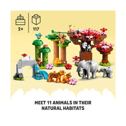 LEGO DUPLO Animali dell'Asia 10974 – Set con 11 Figure e Tappetino Sonoro