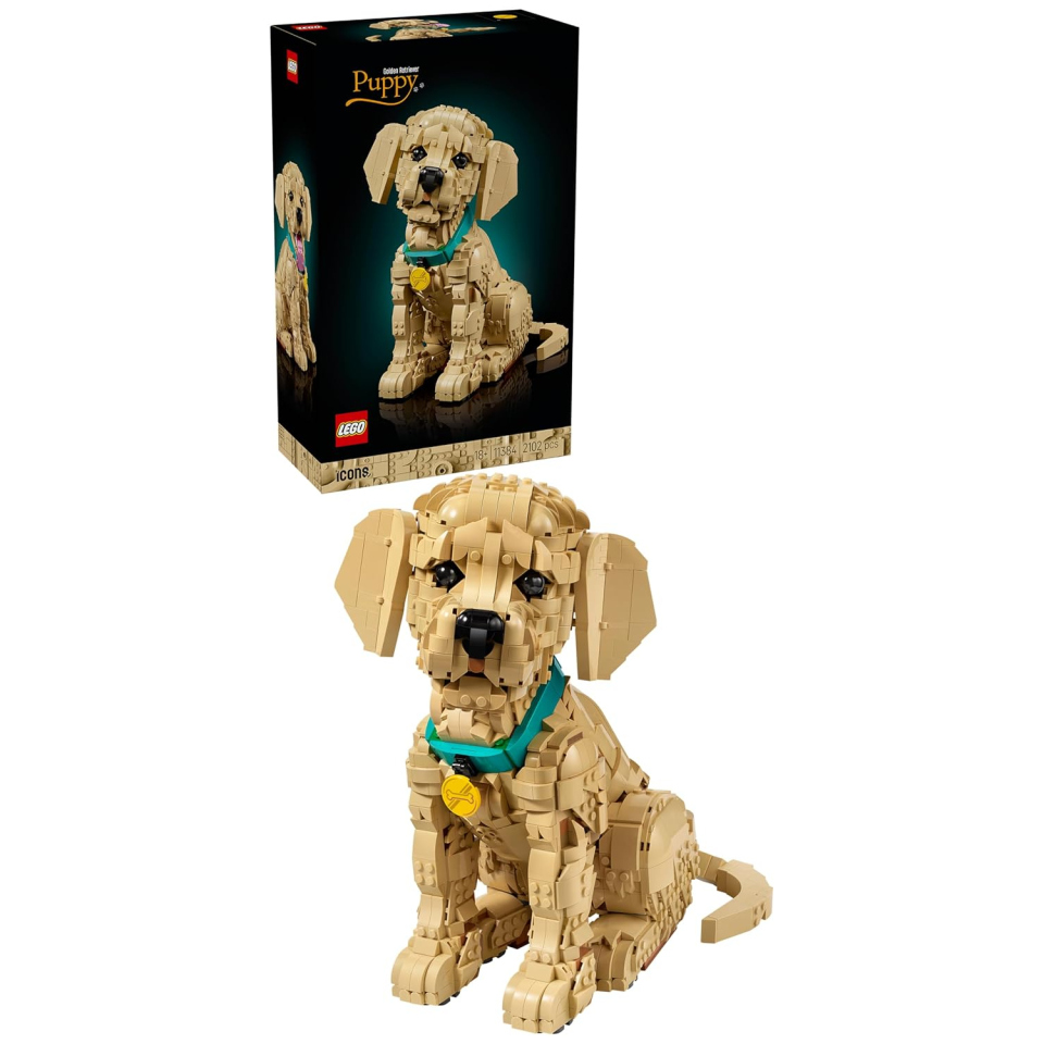 LEGO Icons Cucciolo di Golden Retriever 11384