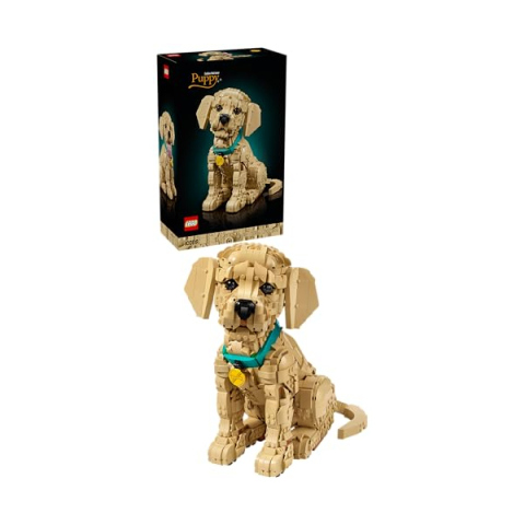 LEGO Icons Cucciolo di Golden Retriever 11384