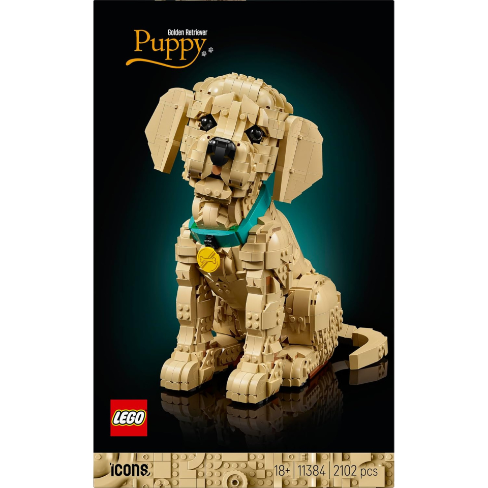 LEGO Icons Cucciolo di Golden Retriever 11384