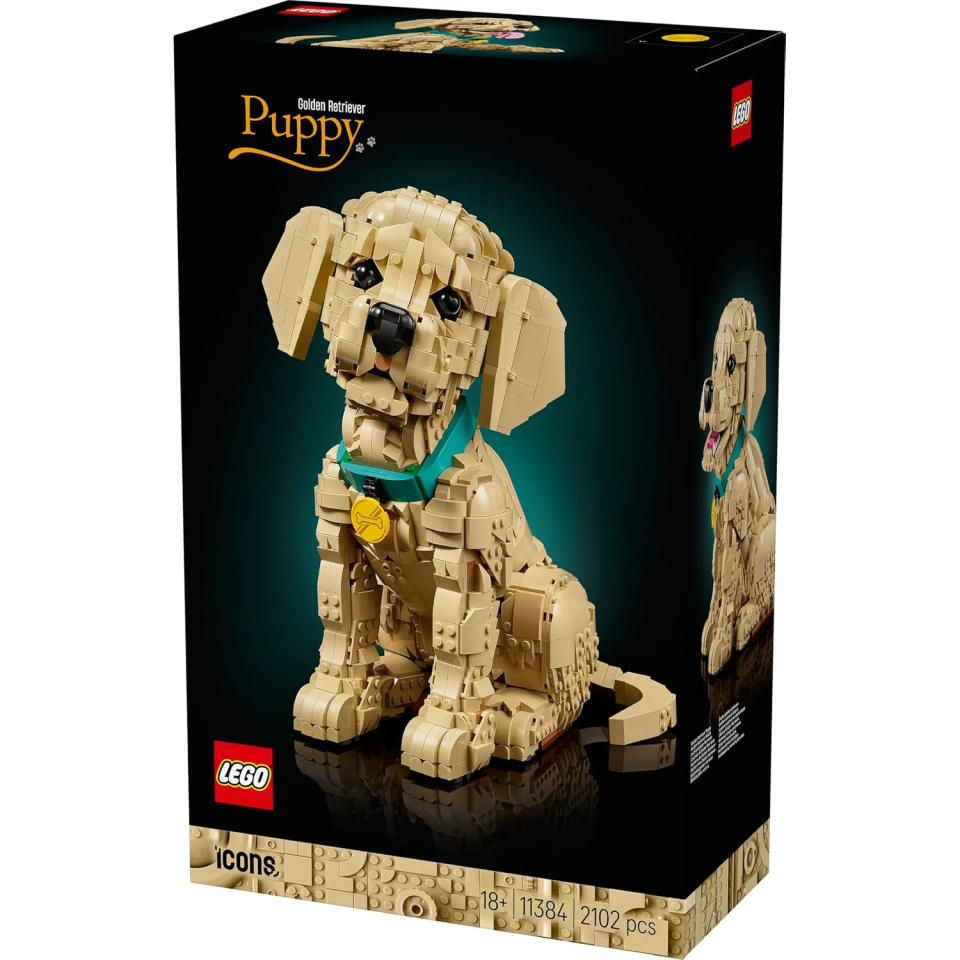 LEGO Icons Cucciolo di Golden Retriever 11384