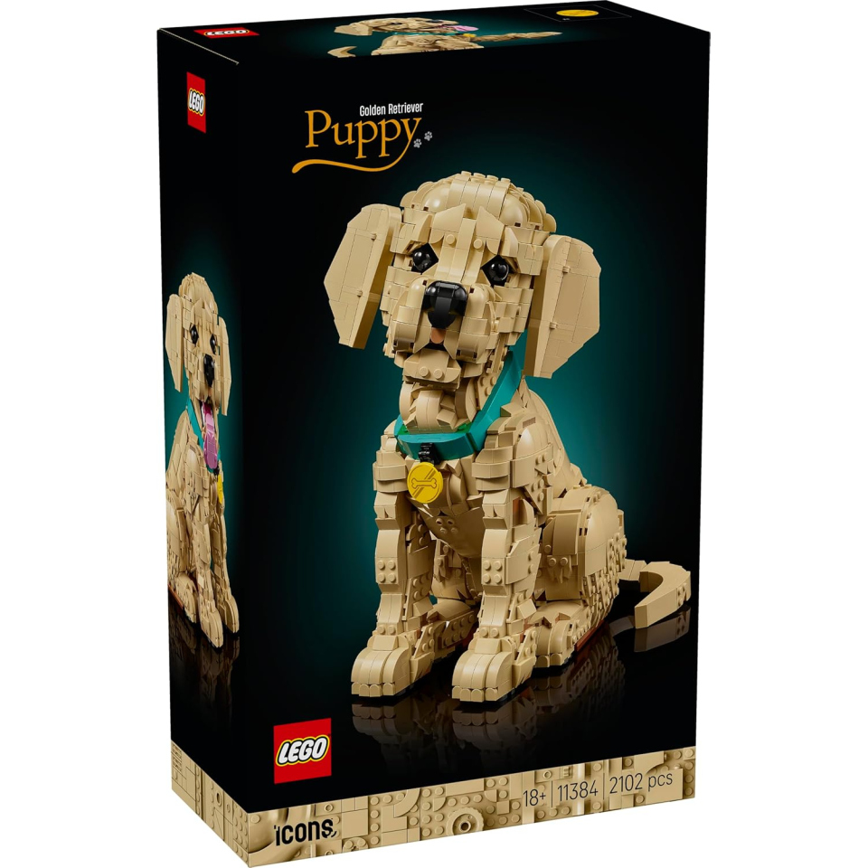 LEGO Icons Cucciolo di Golden Retriever 11384