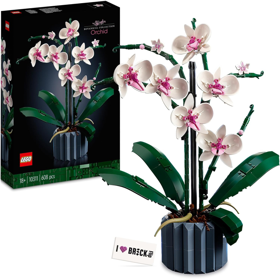LEGO Icons Orchidea 10311 – Set Botanico con Vaso per Adulti