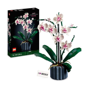 LEGO Icons Orchidea 10311 – Set Botanico con Vaso per Adulti