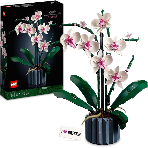 LEGO Icons Orchidea 10311 – Set Botanico con Vaso per Adulti