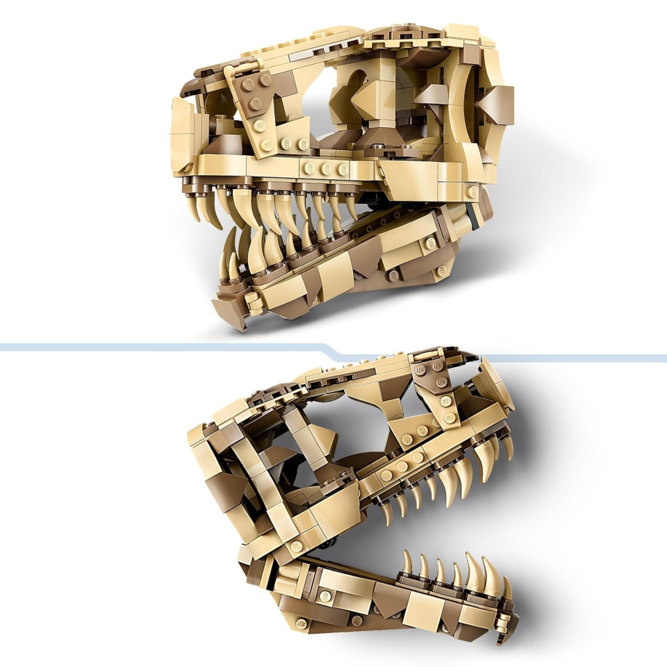 LEGO Jurassic World Teschio di T. Rex – Fossile da Costruire 76964