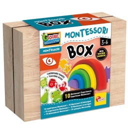 Lisciani Montessori Box Vista – Arcobaleno in Legno e Gioco dei Colori