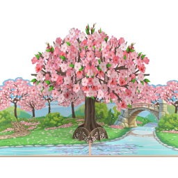 MOKIO biglietto pop-up ciliegio giapponese 3D con busta
