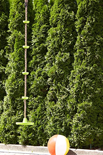 Altalena a disco e fune d'arrampicata - Small Foot