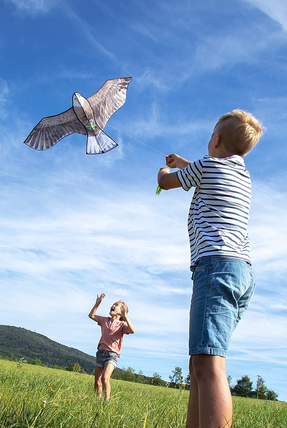 Aquilone per bambini - Aquila Reale - HABA - immagine 3