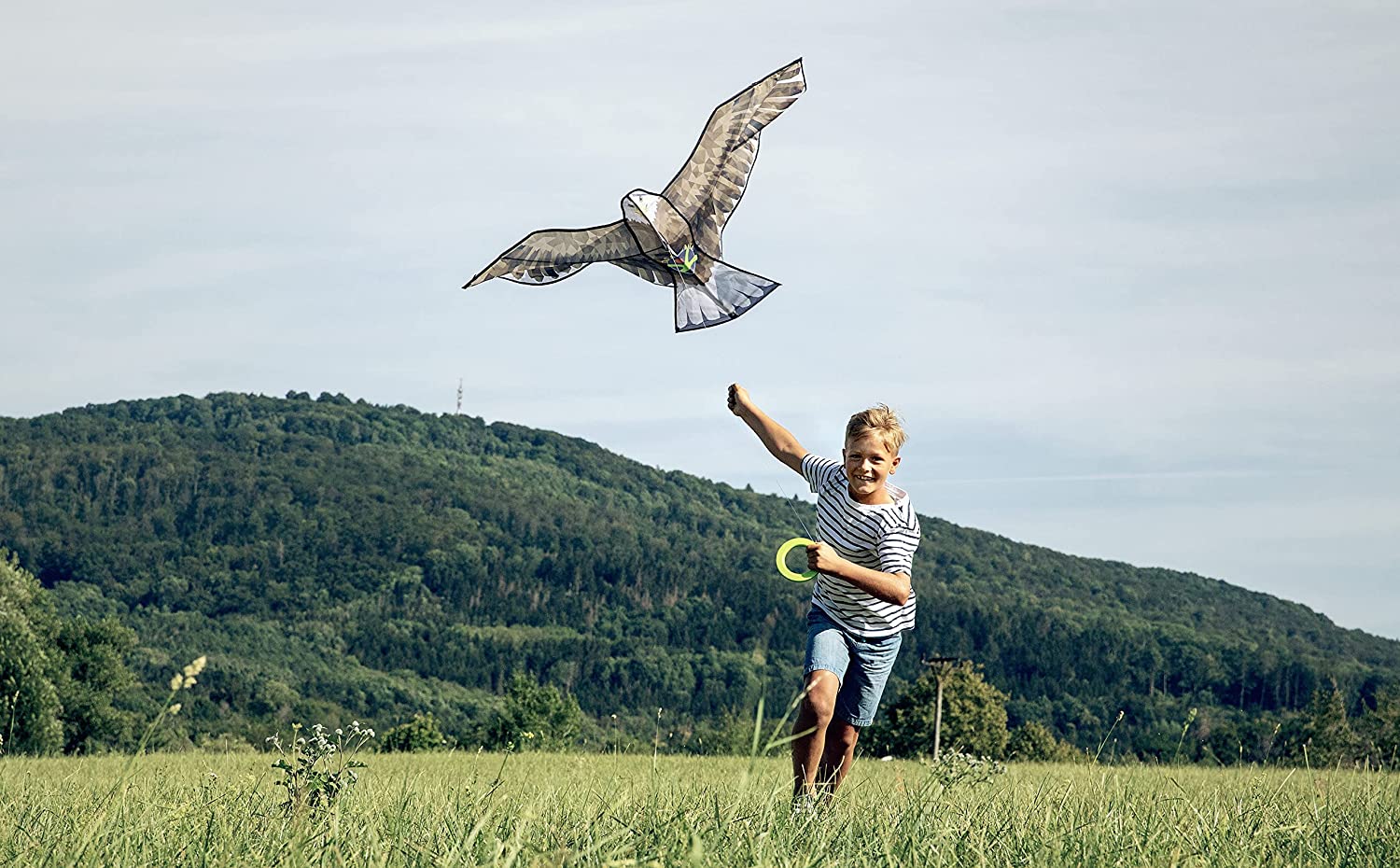 Aquilone per bambini - Aquila Reale - HABA - immagine 5
