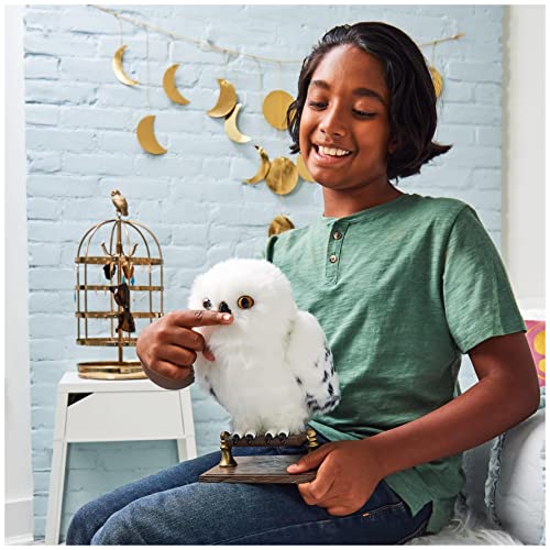 Civetta Edvige interattiva di Harry Potter,  con 15 suoni e movimenti, dai 5 anni in su - Wizarding World