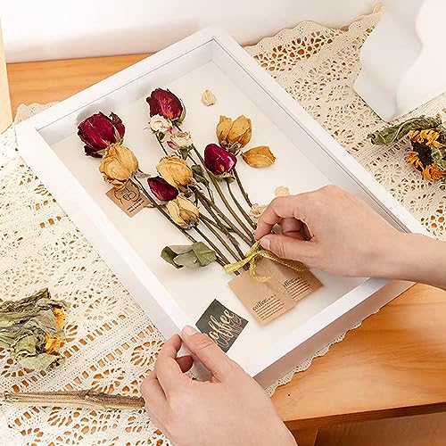 Cornice 3D per foto e oggetti, dimensioni 27 x 22 cm