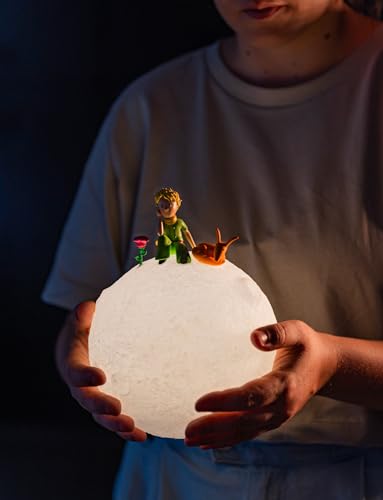 Lampada Il Piccolo Principe - Lampada Notturna Led