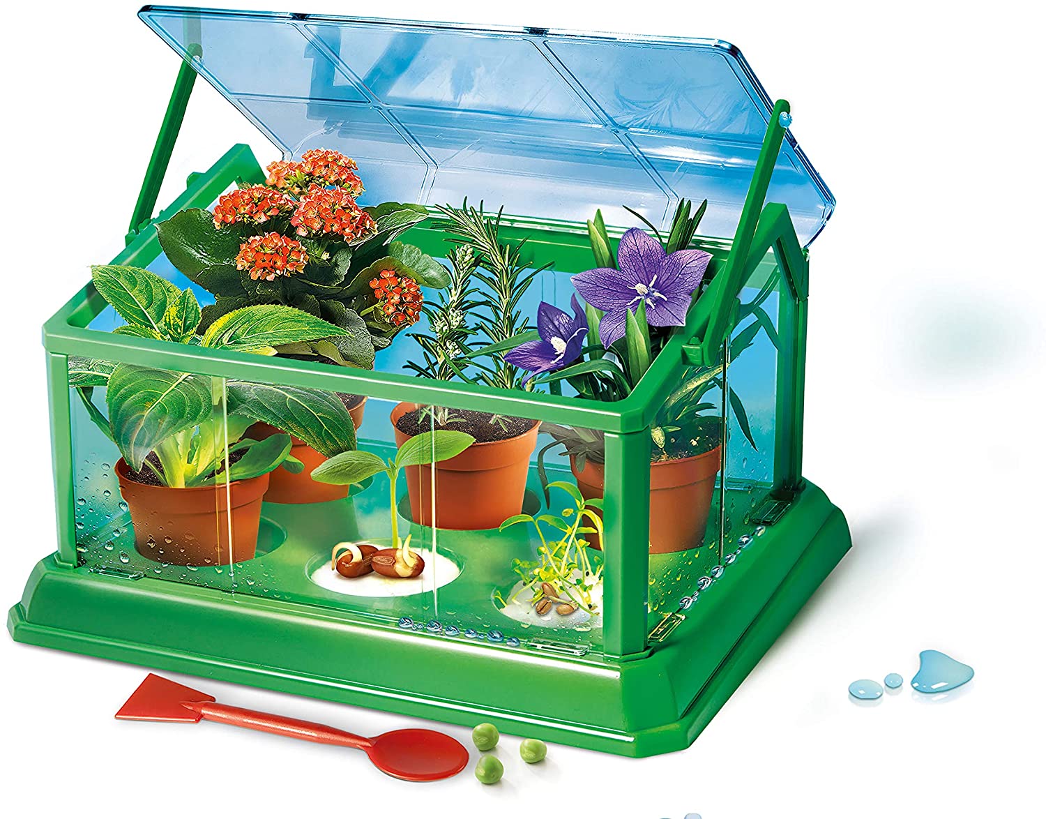 La mia prima serra - gioco educativo Clementoni