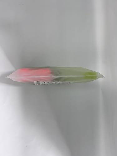 Pistola d'Acqua T-Rex per Bambini, a Lungo Raggio da 8-10m, Giochi da Spiaggia e da Esterno