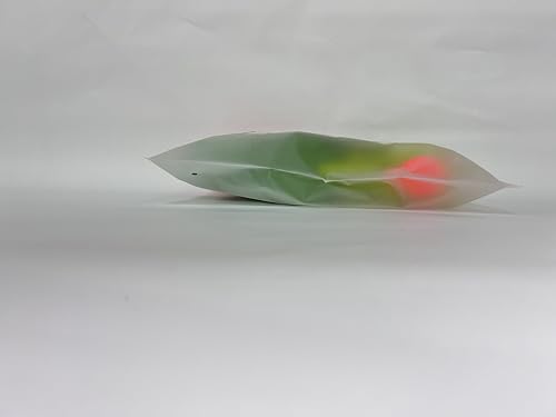 Pistola d'Acqua T-Rex per Bambini, a Lungo Raggio da 8-10m, Giochi da Spiaggia e da Esterno