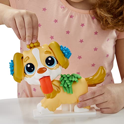 Play-Doh Set da Veterinario: Playset con Cane Giocattolo