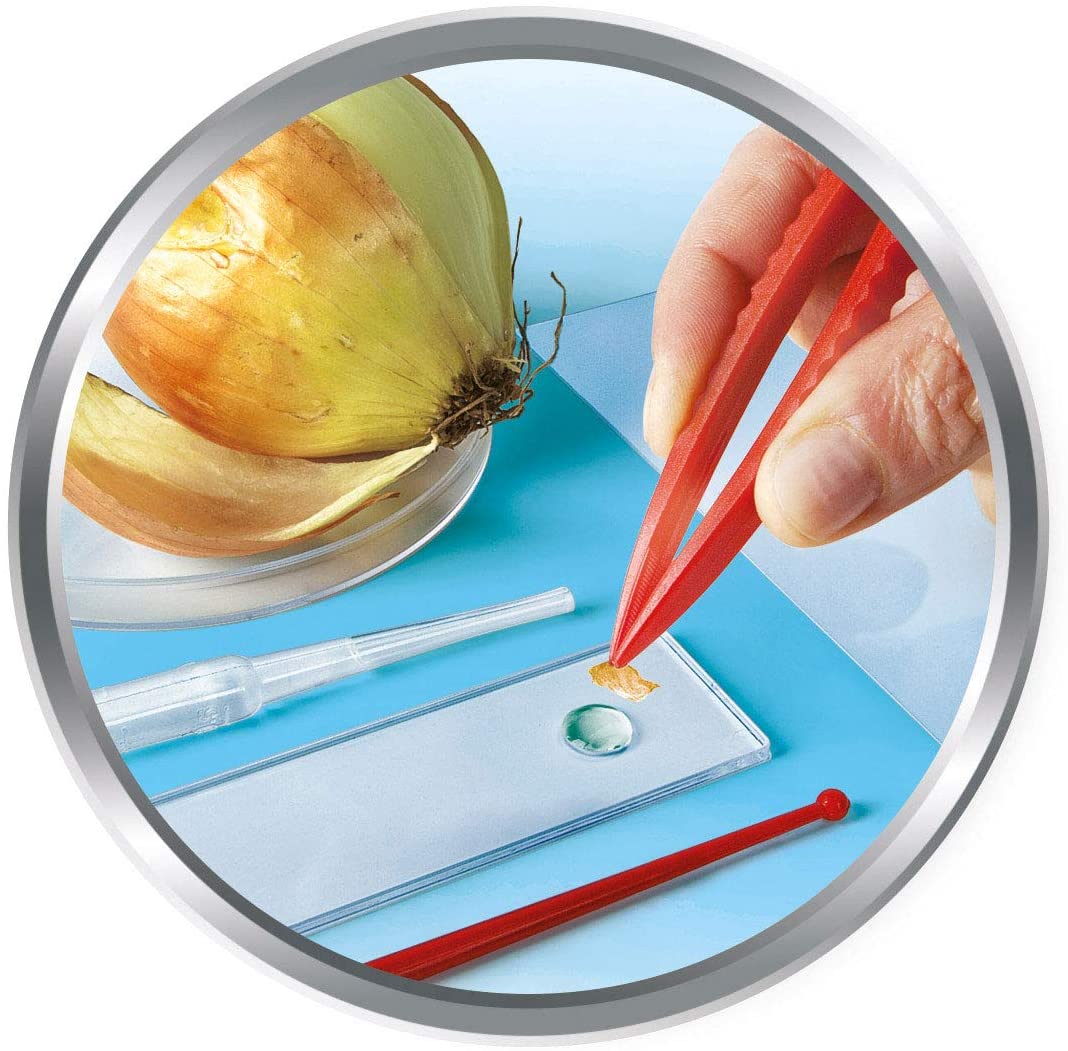 Scienza e gioco microscopio Clementoni