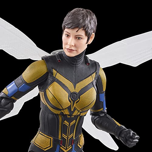 Marvel Wasp, dal film Quantumania, Personaggio giocattolo 15 cm, Ant-Man Marvel Legends - Hasbro