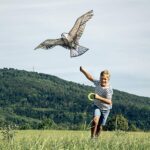 Aquilone per bambini di Aquila Reale - Haba